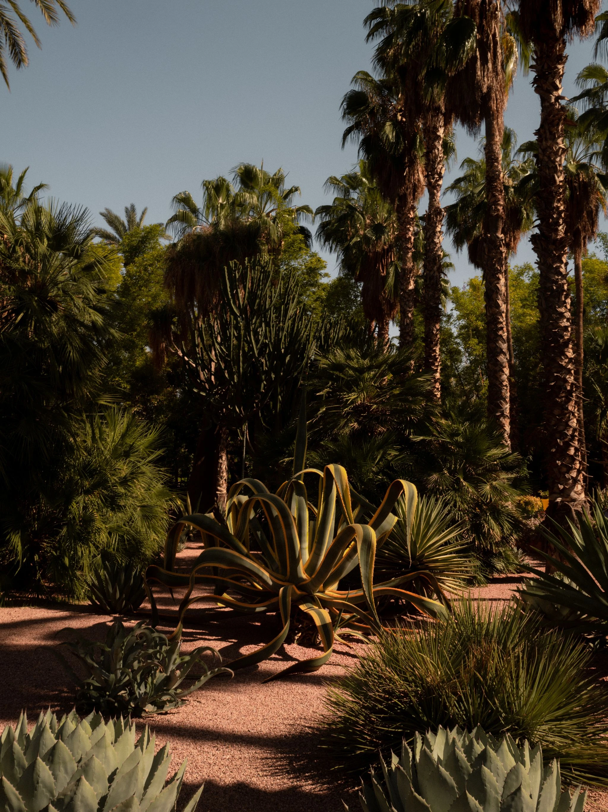 Selected Work — 6