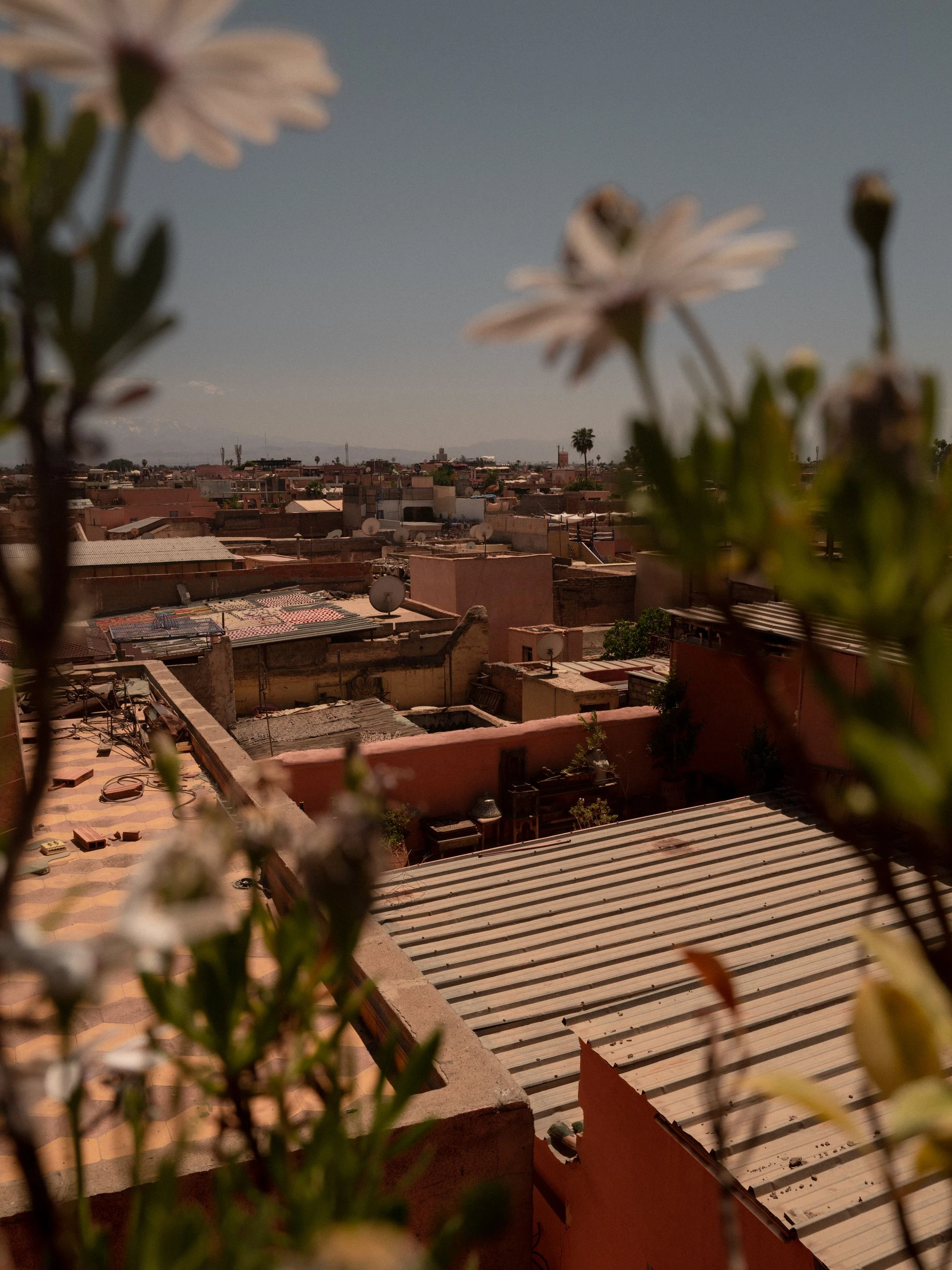 Selected Work — 7